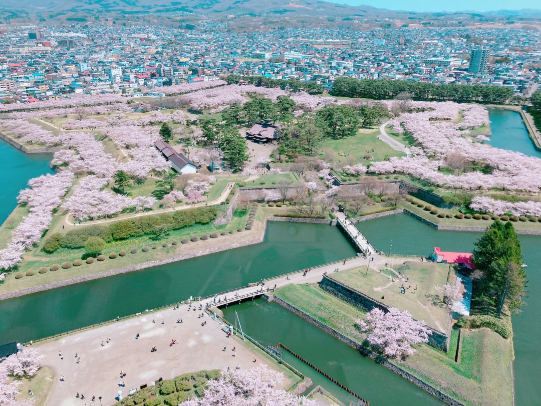 期間限定 箱館櫻ソフトを満開の桜が見れる五稜郭タワーで堪能 22 4 28 サロンのhappy Life